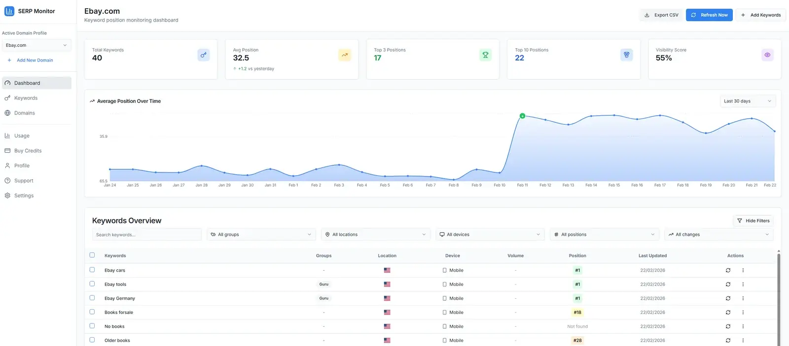 SERP Monitor - Dashboard Overview